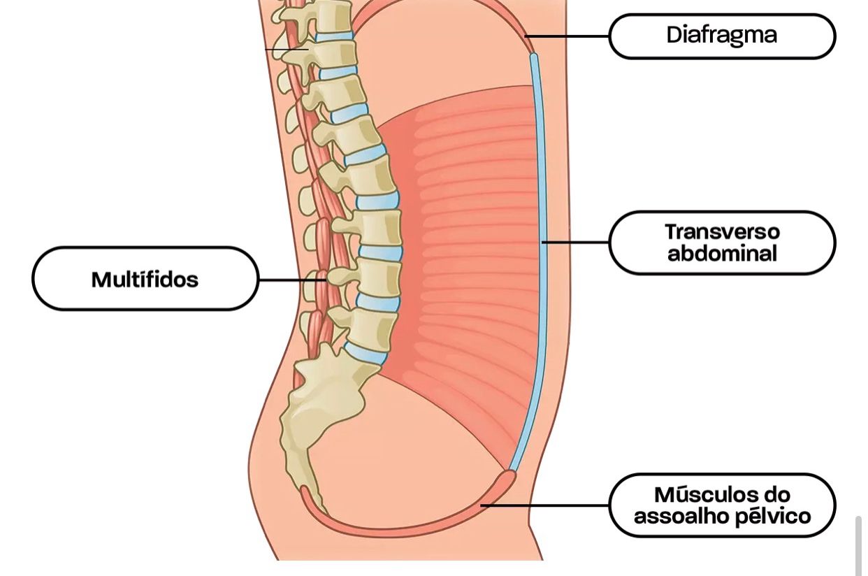 4 pilares do corpo feminino